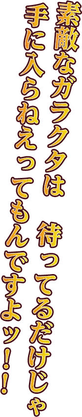 素敵なガラクタは待ってるだけじゃ手に入らねえってもんですよッ！！