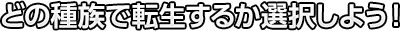 どの種族で転生するか選択しよう！